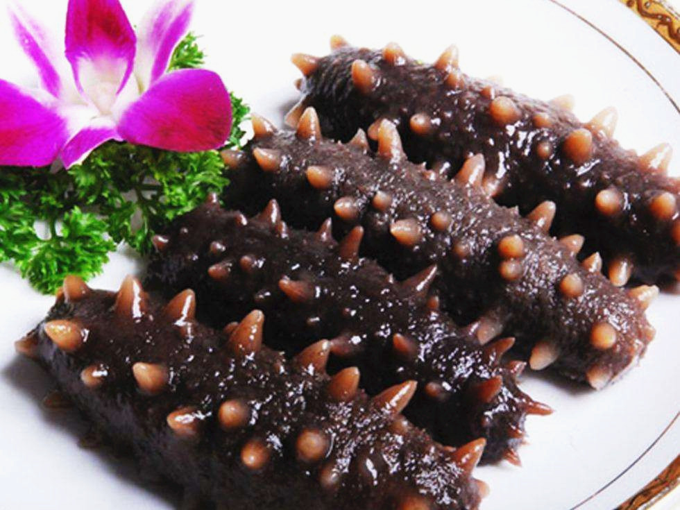 你吃的海参是哪一种？海内海参最周全的养殖方法先容